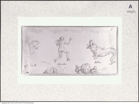 Vorderseite von bh474661_recto