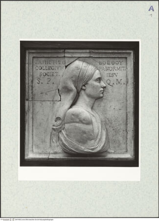 Vorderseite von bh474824_recto