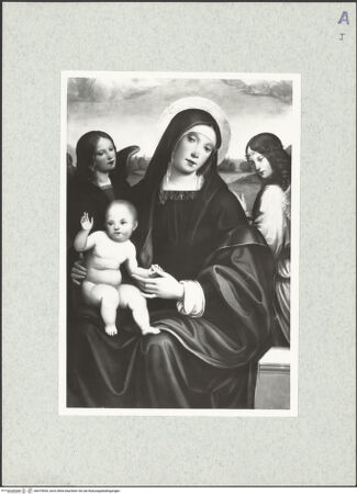 Vorderseite von bh474930_recto