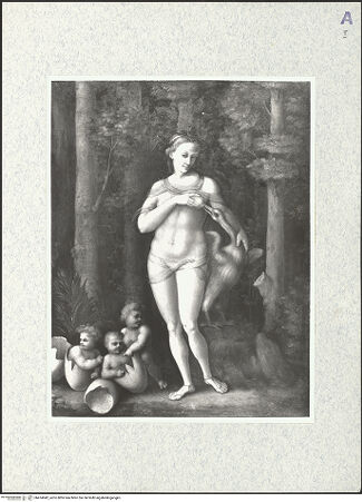 Vorderseite von bh474942_recto