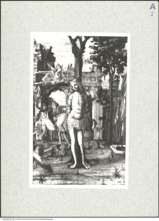 Vorderseite von bh474949_recto