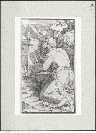 Vorderseite von bh474987_recto