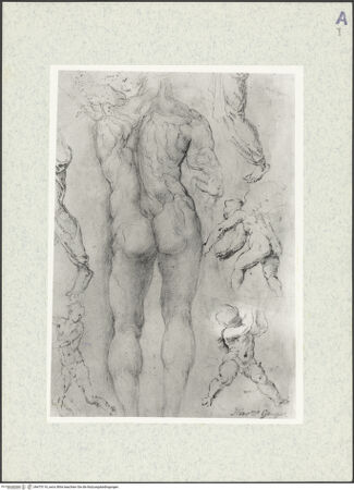 Vorderseite von Sopr. BAS ROMA [https://www.deutsche-digitale-bibliothek.de/content/lizenzen/rv-ez/] GewölbeausmalungEngel mit einer Geißel - , bh475116_recto. Foto.