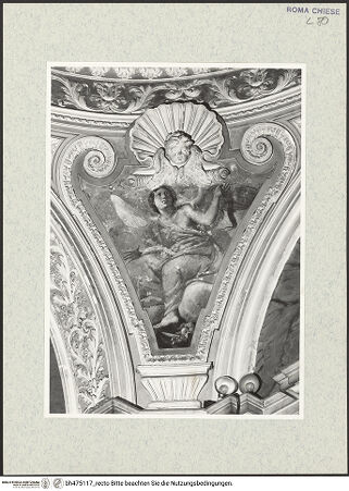 Vorderseite von Sopr. BAS ROMA [https://www.deutsche-digitale-bibliothek.de/content/lizenzen/rv-ez/] GewölbeausmalungEngel mit einem Büßergürtel - , bh475117_recto. Foto.