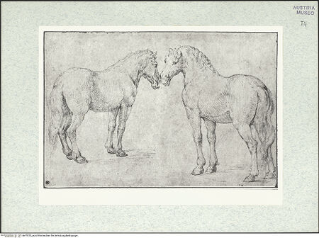 Vorderseite von bh475232_recto