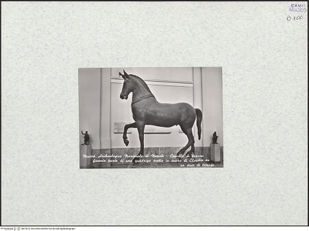 Vorderseite von unbekannt [https://www.deutsche-digitale-bibliothek.de/content/lizenzen/rv-ez/] Pferd (Mazzocchipferd oder Cavallo Mazzocchi) - Ansicht von rechts, bh475413_recto. Foto.