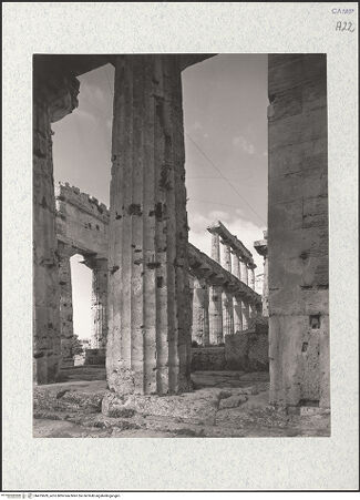 Vorderseite von Savio, Oscar [https://www.deutsche-digitale-bibliothek.de/content/lizenzen/rv-ez/] Tempio di Nettuno - Blick durch die östliche Säulenreihe auf die Cella (von Nordosten), bh475609_recto. Foto: Savio, Oscar.