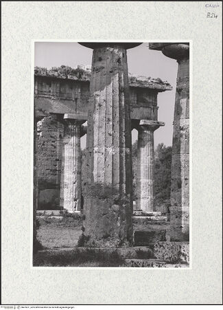 Vorderseite von Bibliotheca Hertziana [https://www.deutsche-digitale-bibliothek.de/content/lizenzen/rv-fz/] Tempio di Nettuno - Blick aus der Basilica auf den Neptuntempel, bh475611_recto. Foto.