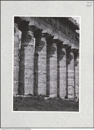 Vorderseite von Bibliotheca Hertziana [https://www.deutsche-digitale-bibliothek.de/content/lizenzen/rv-fz/] Tempio di Nettuno - Südkolonnade, Detail, bh475617_recto. Foto.