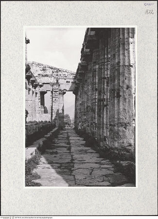 Vorderseite von Bibliotheca Hertziana [https://www.deutsche-digitale-bibliothek.de/content/lizenzen/rv-fz/] Tempio di Nettuno - Inneres, Südkolonnade von West, bh475618_recto. Foto.