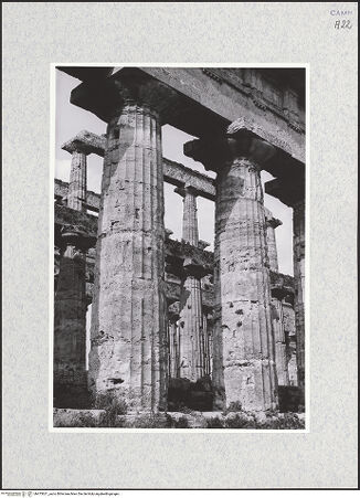 Vorderseite von Bibliotheca Hertziana [https://www.deutsche-digitale-bibliothek.de/content/lizenzen/rv-fz/] Tempio di Nettuno - Blick durch die äußere Säulenreihe auf die Säulenstellung der Cella (von Nordosten), bh475621_recto. Foto.