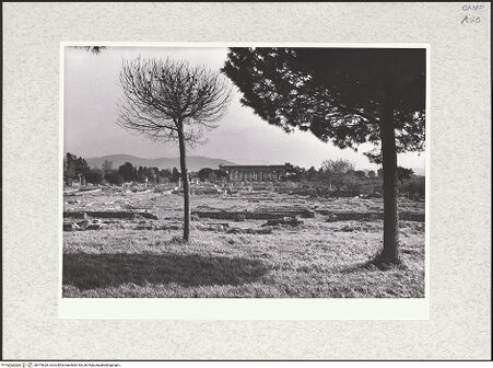 Vorderseite von Bibliotheca Hertziana [https://www.deutsche-digitale-bibliothek.de/content/lizenzen/rv-fz/] Tempio di Nettuno - Blick von Norden, bh475626_recto. Foto.