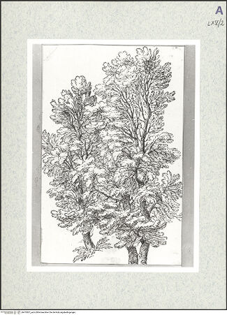 Vorderseite von bh475837_recto