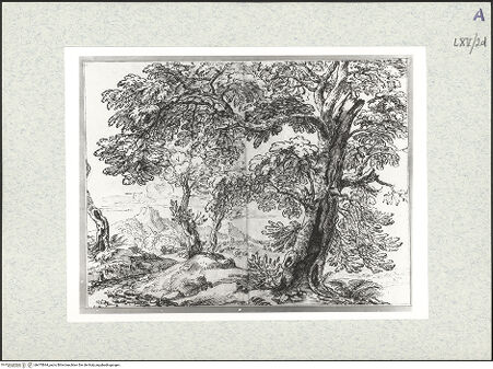 Vorderseite von bh475844_recto