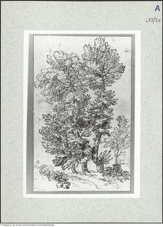 Vorderseite von bh475850_recto