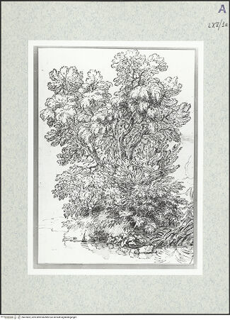 Vorderseite von bh475852_recto