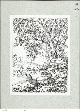 Vorderseite von bh475856_recto