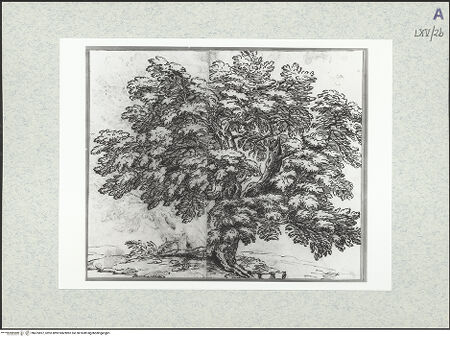 Vorderseite von bh475857_recto