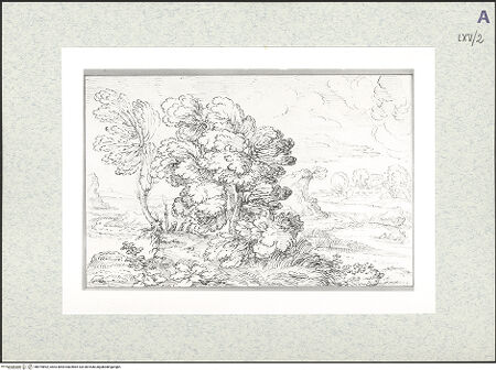 Vorderseite von bh475892_recto