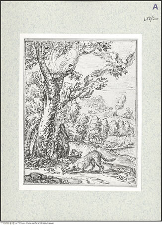 Vorderseite von bh475908_recto