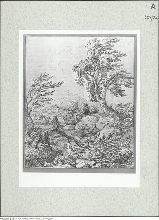 Vorderseite von bh475911_recto