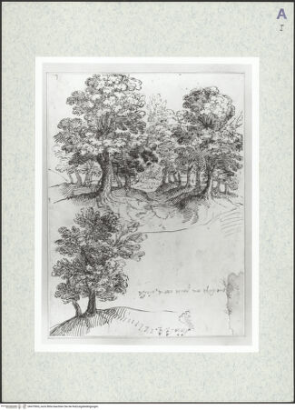 Vorderseite von bh475965_recto