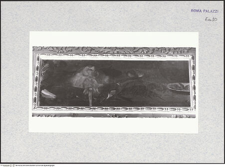 Vorderseite von bh476030_recto