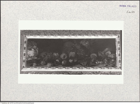 Vorderseite von bh476031_recto