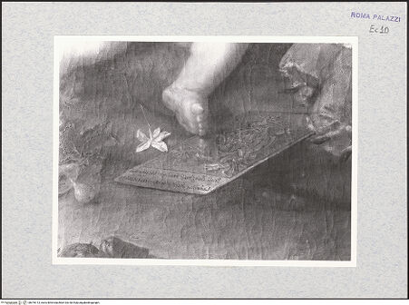 Vorderseite von bh476113_recto