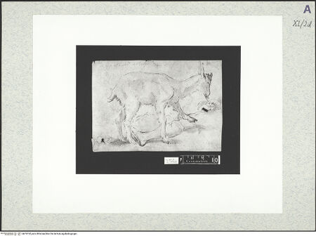 Vorderseite von bh476192_recto