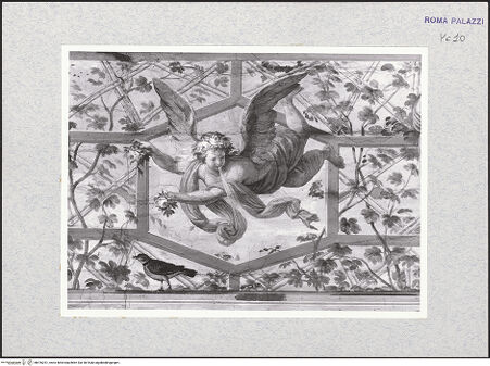 Vorderseite von bh476251_recto