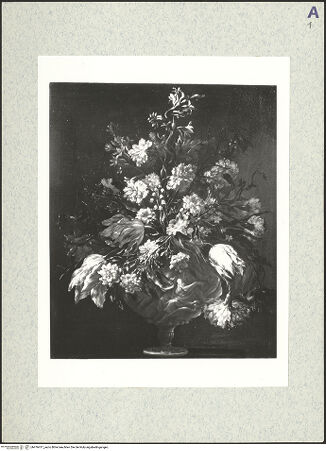 Vorderseite von bh476417_recto