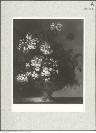 Vorderseite von bh476438_recto