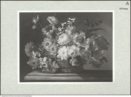 Vorderseite von bh476444_recto