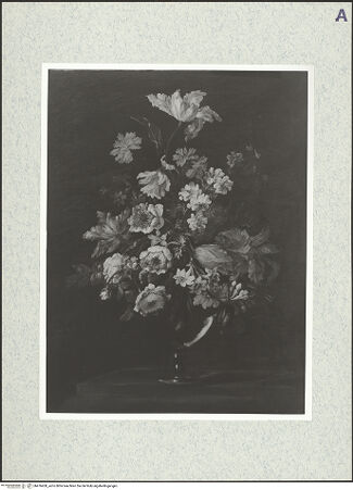 Vorderseite von bh476450_recto