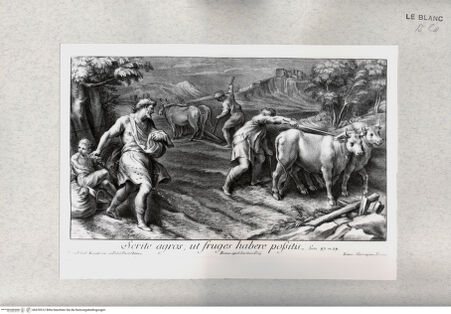 Vorderseite von Istituto Nazionale per la Grafica [http://creativecommons.org/publicdomain/mark/1.0/] Monochrome Wandbilder in der Stanza di Eliodoro, SockelzoneDie Saat - , bh476512. Foto.