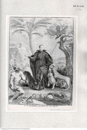 Vorderseite von Istituto Nazionale per la Grafica [http://creativecommons.org/publicdomain/mark/1.0/] Der Missionar Joseph Anchieta - , bh476534. Foto.