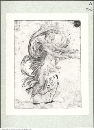 Vorderseite von bh476684_recto