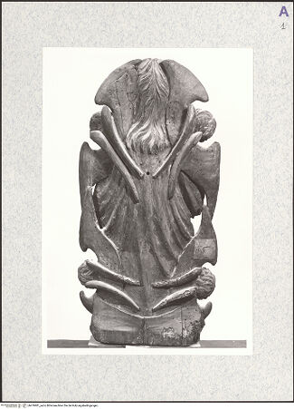 Vorderseite von bh476981_recto