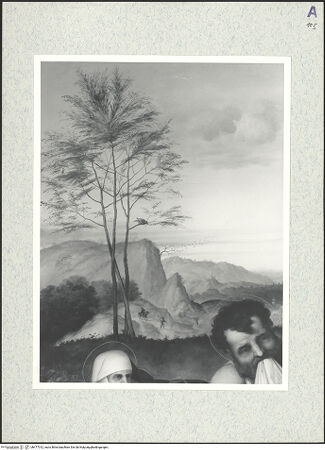 Vorderseite von bh477012_recto