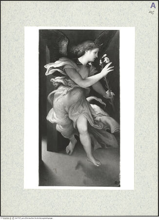 Vorderseite von bh477027_recto