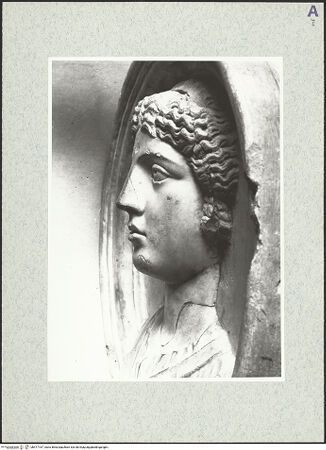 Vorderseite von bh477167_recto