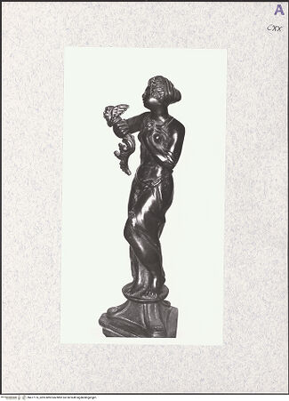 Vorderseite von bh477176_recto