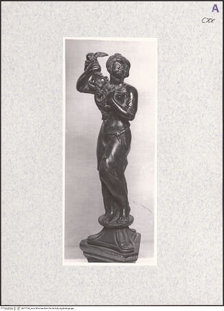 Vorderseite von bh477184_recto