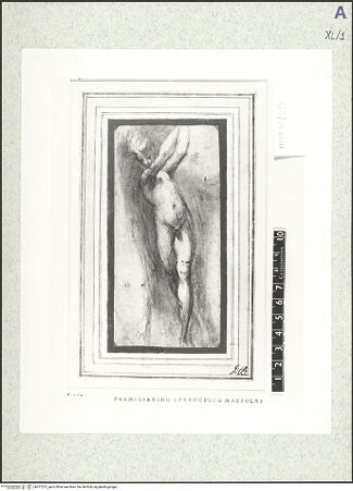 Vorderseite von bh477237_recto