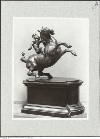 Vorderseite von bh477241_recto