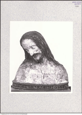 Vorderseite von bh477247_recto