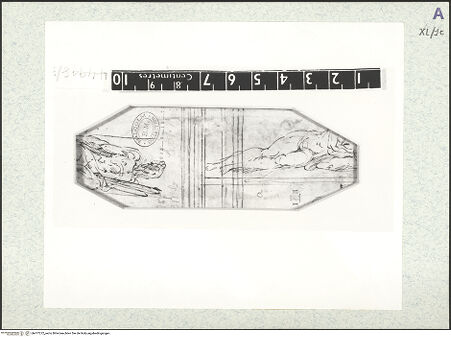 Vorderseite von bh477272_recto