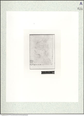 Vorderseite von bh477273_recto