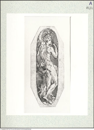 Vorderseite von bh477276_recto